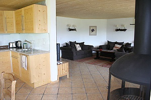 The living room with the kitchen